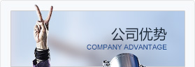 公司優(yōu)勢(shì)